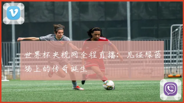 世界杯央视网全程直播：见证绿茵场上的传奇诞生