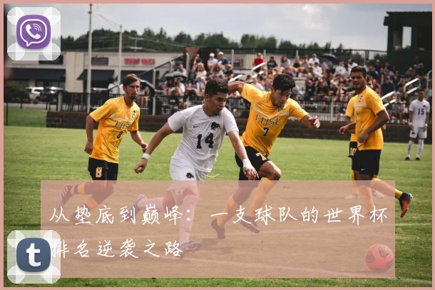 从垫底到巅峰：一支球队的世界杯排名逆袭之路