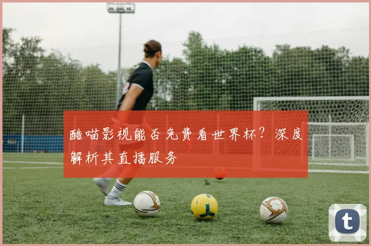 酷喵影视能否免费看世界杯？深度解析其直播服务