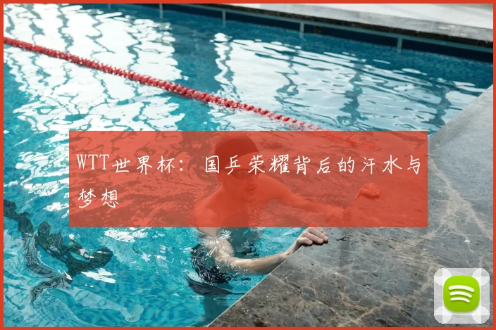 WTT世界杯:国乒荣耀背后的汗水与梦想