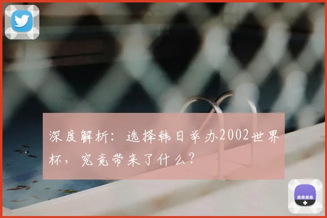 深度解析：选择韩日举办2002世界杯，究竟带来了什么？