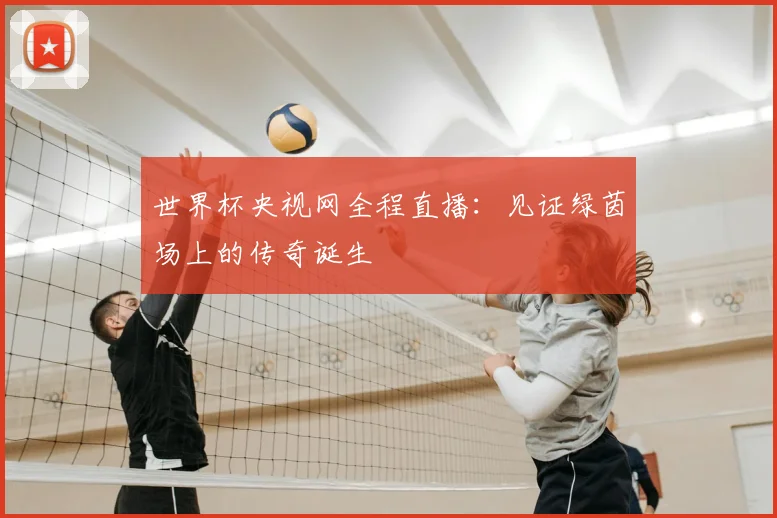 世界杯央视网全程直播:见证绿茵场上的传奇诞生