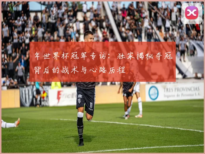 年世界杯冠军专访：独家揭秘夺冠背后的战术与心路历程