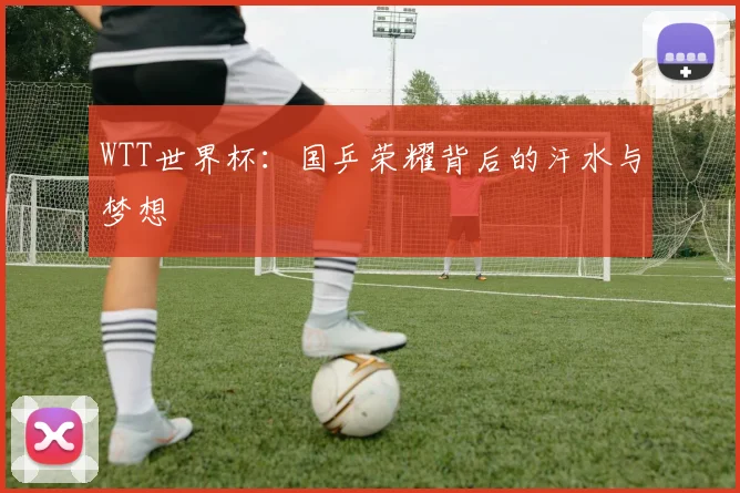 WTT世界杯：国乒荣耀背后的汗水与梦想