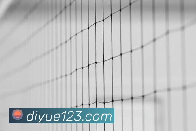 开云app官方在线入口平台生态图